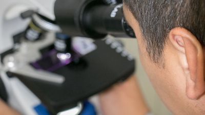 Zdjęcie ilustracyjne