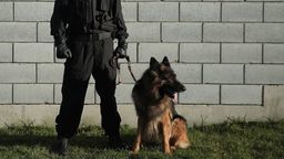 W akcji poszukiwania napastników wykorzystano m.in. psa tropiącego 