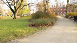 Szutrowe ścieżki na Skwerze Niepodległości do niedawna były uznawane za powierzchnię biologicznie czynną. Po zmianie przepisów już się do niej nie zaliczają. Tym samym cały teren zaczął łamać zapisy miejscowego planu. Ten został więc zmieniony