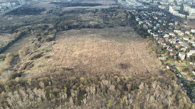 Eksperci z Katowic krytykują lubelski raport naukowców o górkach czechowskich