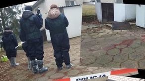 Krew po polowaniu. Weterynarze ustalili, czy dziki były chore