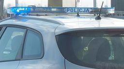 Wypadek na drodze S17. Samochód najechał na łosia