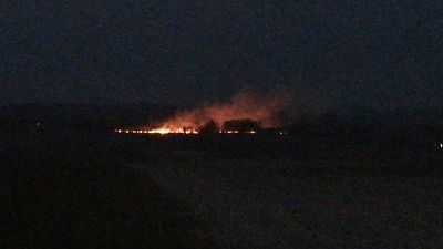 Pożar traw w gminie Siedliszcze. Silny wiatr utrudniał strażakom akcję 