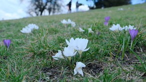 Zdjęcie ilustracyjne