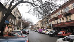 Ile wytną drzew w związku z budową nowego dworca autobusowego? Ratusz milczy od tygodnia