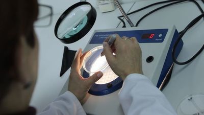 Zdjęcie ilustracyjne