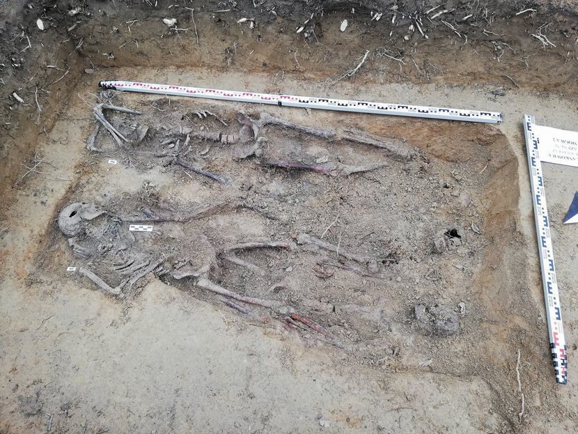 Ludzkie szczątki zostały zabrane przez specjalistów do dalszych badań, m.in. antropologicznych