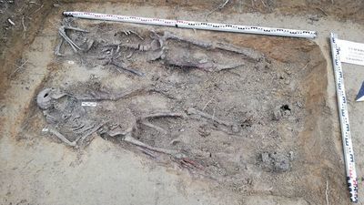 Ludzkie szczątki zostały zabrane przez specjalistów do dalszych badań, m.in. antropologicznych