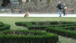 Lublin: Coraz więcej osób wymyka się z domów na spacery [zdjęcia]