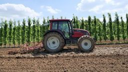 Zdjęcie ilustracyjne