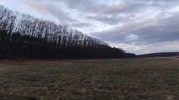 Nagi mężczyzna siedział na łące. Tak przechodził kwarantannę