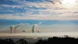 Ekolodzy apelują o przyjęcie tzw. uchwały antysmogowej. Bez tego stajemy się "paliwowym śmietnikiem"
