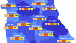 Koronawirus w Lubelskiem. Nowe hospitalizacje, kwarantanna [dane na 31.03]