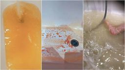 Nasi Czytelnicy przysłali na kilka zdjęć udowadniających skalę problemu z jakością wody w Puławach. Brudna woda pojawiła się m.in. przy Słowackiego, Cichockiego, Sikorskiego i Leśnej. Z kolei na ul. Majdan, Grota-Roweckiego oraz na osiedlu Górna-Kolejowa woda wygląda na czystą. Kłopotem jest jej chlorowy zapach. To ostatnie to efekt płukania sieci prowadzonego przez MPWiK w związku z pojawieniem się w jednej ze studni bakterii z grupy Coli