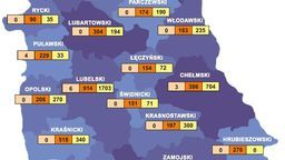 Koronawirus w woj. lubelskim. Nowe hospitalizacje, kwarantanna [mapa - stan na 26.03]