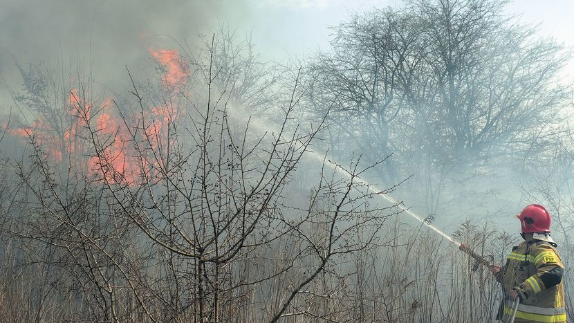 Pożary lasów, traw i nieużytków rolnych to wymierne straty