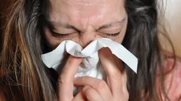 Zdjęcie ilustracyjne