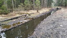 Kanał doprowadzający wodę to Stawów Echo tzw. donośnik. W zeszłym roku był generalnie wyremontowany - oczyszczony i wyłożony faszyną
