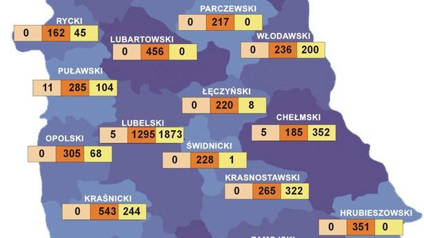 Koronawirus W Woj Lubelskim Dlaczego Na Mapie Sanepidu Nie Ma Przypadków Z Lublina Dziennik 4580