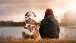 Zdjęcie ilustracyjne