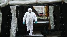 Cztery nowe przypadki zakażenia koronawirusem w Polsce. Wszystkie są z Mazowsza