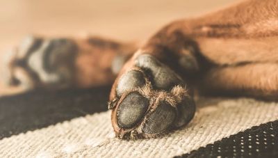 Zdjęcie ilustracyjne