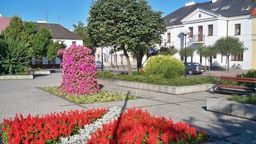 Dbanie o miejską zieleń, to jedno z zadań spółki 