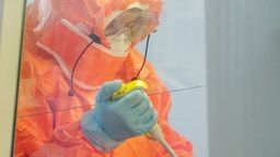 Zdjęcie ilustracyjne