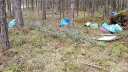 Tak wyglądał las z porzuconymi śmieciami