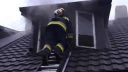 Nie żyje 71-letnia kobieta. W domu były też martwe psy [ZDJĘCIA]