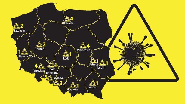 Mapa Koronawirusa W Polsce Wszystkie Dotychczasowe Przypadki Dziennik Wschodni 2031