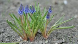 Lublin: To rzadkość. Przetarg wygrał najdroższy