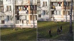 Puławy: Z balkonu nagle zaczęli wyskakiwać młodzi ludzie. Nagranie pojawiło się w internecie