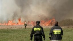 Susza w Polsce. Pożar ponad tysiąca hektarów łąk i lasu w Biebrzańskim Parku Narodowym