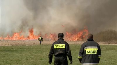 Susza w Polsce. Pożar ponad tysiąca hektarów łąk i lasu w Biebrzańskim Parku Narodowym
