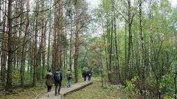 Czy w lesie będzie trzeba nosić maseczkę? Ministerstwo podaje szczegóły 