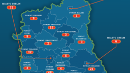 Lubelskie: Aktualna sytuacja epidemiologiczna. Stan na 28 kwietnia