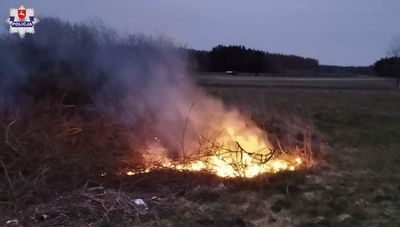 Pożar traw w powiecie ryckim. Winny mężczyzna, który rozpalił ognisko na swojej działce