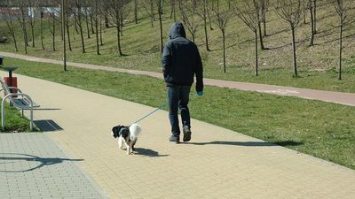 Możesz pomóc, wyprowadzając psa sąsiadom na kwarantannie