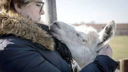 Ośrodek w Wojciechowie można wspierać finansowo, poprzez portal zrzutka.pl