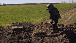 Lubelskie: Wykopała w ogródku skrzynkę naboi. Takich odkryć było więcej