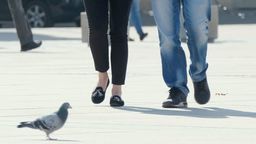 Opole Lubelskie: Beztroskie spacery ulicami miasta teraz drogo kosztują