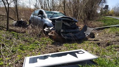 Lubelskie: Ściął dwa znaki i dachował w rowie. Powiedział, że starał się ominąć psa