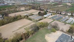 Ośrodek ma powstać na porośniętym drzewami terenie przy ul. Doświadczalnej