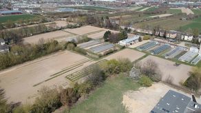 Ośrodek ma powstać na porośniętym drzewami terenie przy ul. Doświadczalnej