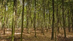 Zdjęcie ilustracyjne