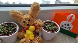 Marzena i Grzegorz: "To ciężki czas dla nas wszystkich". Jak spędzacie święta?