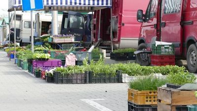 Na miejski targ w Opolu Lubelskim przyjeżdżają handlarze spoza powiatu. "Zabrali nam nasze miejsca"