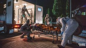 Zespół Interwencji Kryzysowej