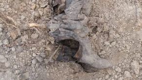 Budowa drogi S19. Kolejne ludzkie szczątki odkopane. Tym razem w Obrokach